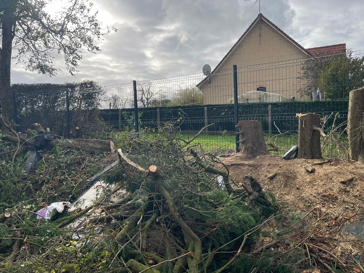 Dessouchage arbre Calais